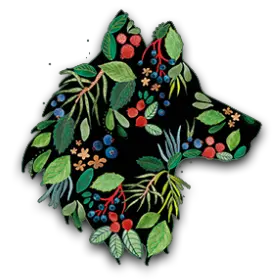 Die Geschichte hinter WOiFGIN